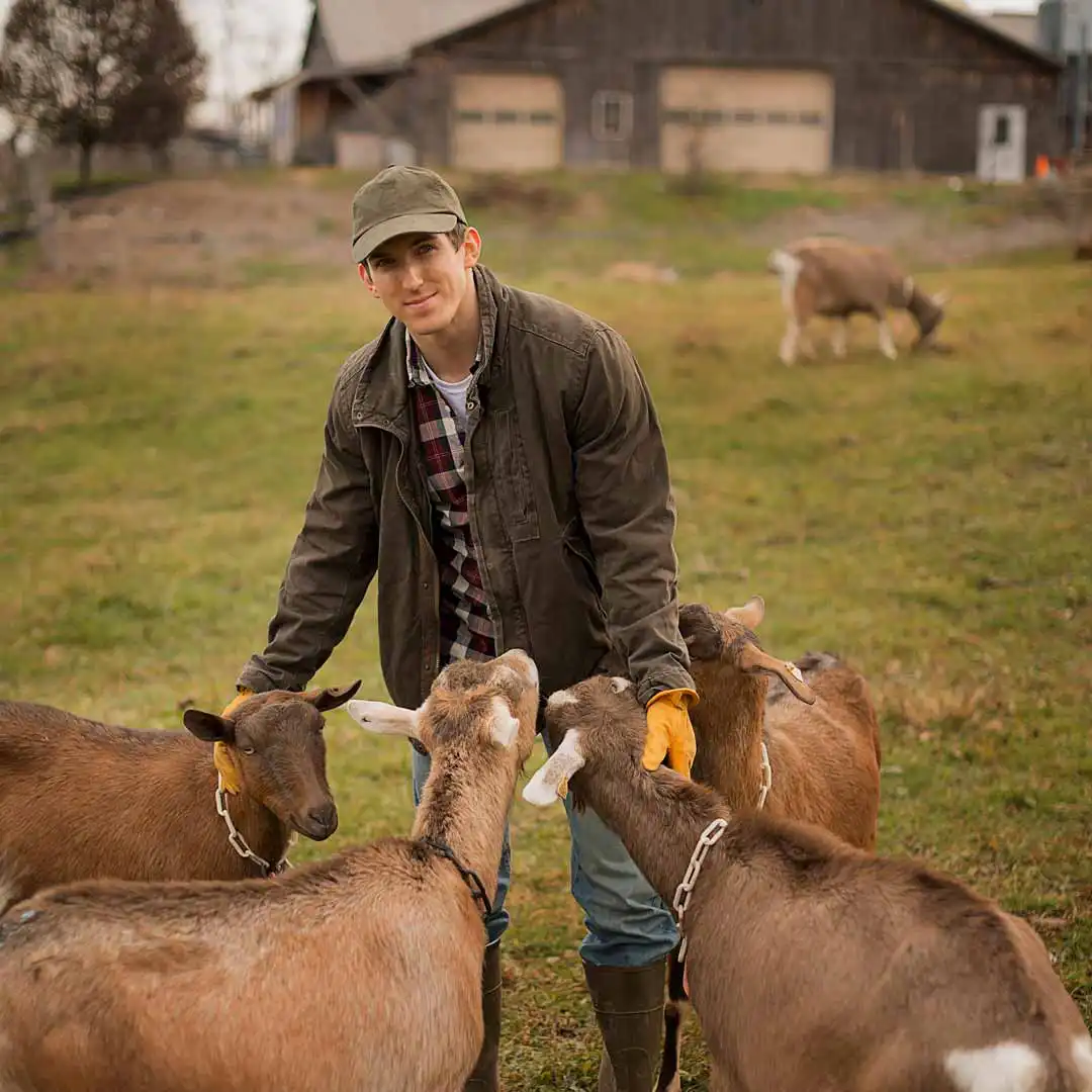 Man with several goats