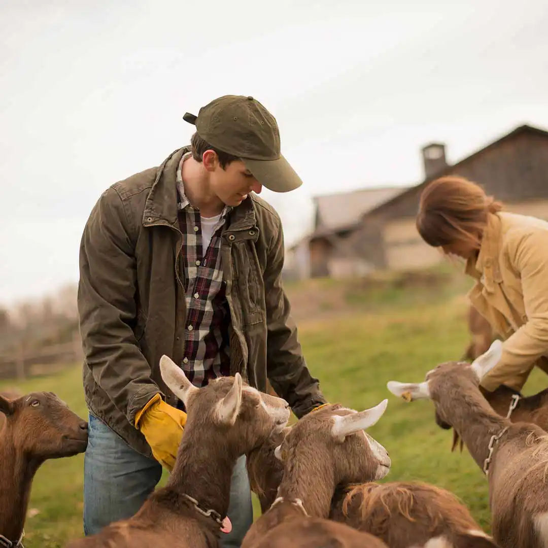 Man and woman with goats