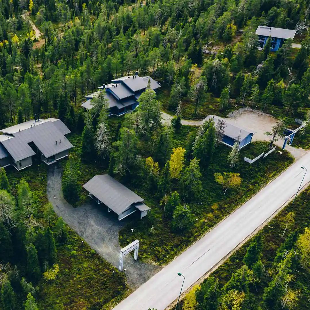 Aerial shot of the multiple houses in the forest